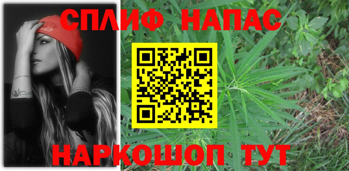 МАРИХУАНА ГИДРОПОН Кириши