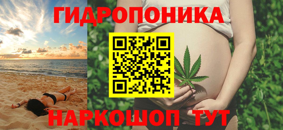 Кириши  Бошки марихуана OG Kush  Вход с VPN  Бошки марихуана индика  Шишки марихуана OG Kush 